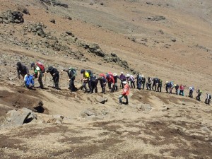 Kilimanjaro Climbing-Lemosho Route 8 Day Itinerary