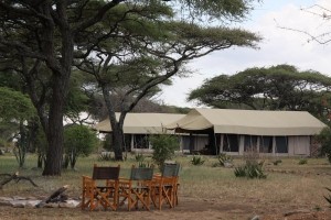 6 Days Safari to Tarangire, Serengeti and Ngorongoro Crater