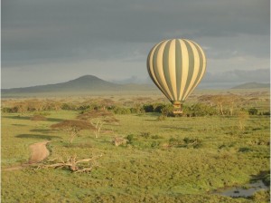 6 Days Safari to Tarangire, Serengeti and Ngorongoro Crater