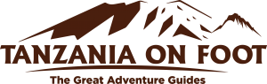 Tanzania Onfoot Web Logo